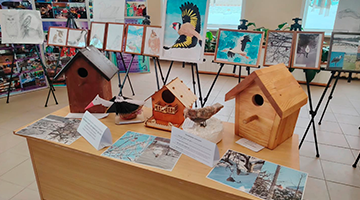 В колледже прошёл конкурс «Ярмарка идей для пернатых друзей»